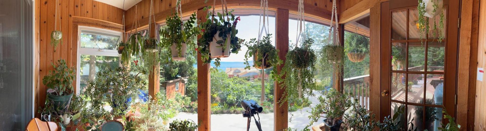 Garden Bridge House Villa Сешелт Екстериор снимка