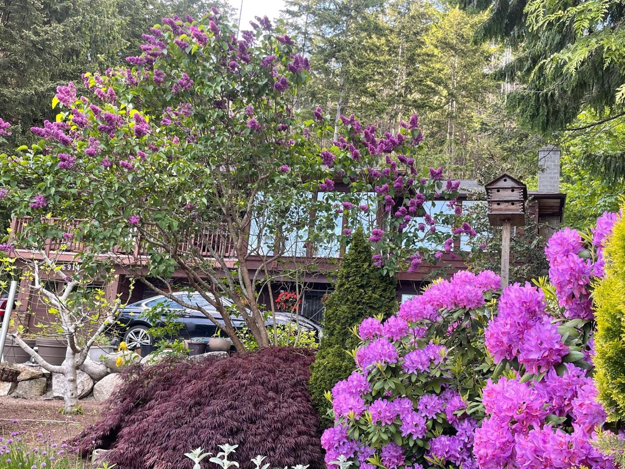 Garden Bridge House Villa Сешелт Екстериор снимка